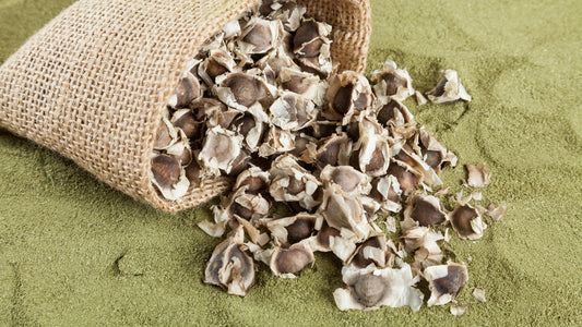 Conquer Cravings Naturally with Moringa Seeds and Beans | livlong.co.za