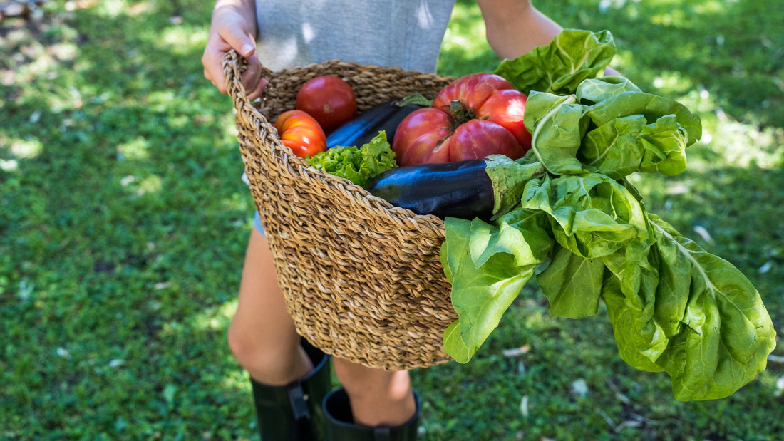 Buying Choices Shape Sustainable Harvesting Practices | LivloNG