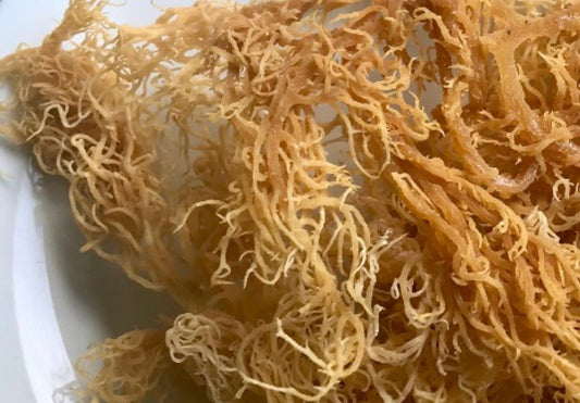 Revealing The Health Benefits Of Irish Sea Moss - blog | LivloNG.co.za